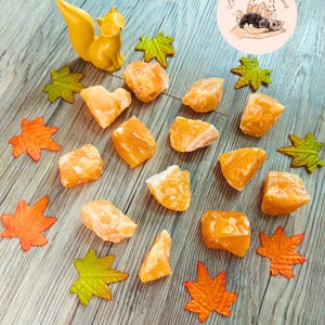 Peut inclure: Un écureuil jaune en céramique et plusieurs morceaux de cristaux de calcite orange sont disposés avec des feuilles d'automne décoratives sur une surface en bois. Un logo circulaire avec du texte et un dessin de deux animaux est visible.