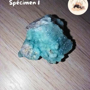 May include: A specimen of a teal-colored mineral with a crystalline structure. The mineral is labeled "Sp&eacute;cimen 1" in white text. A circular logo with the text "Lumi&egrave;re de Gemmes" and a drawing of a hand holding crystals and flowers is in the upper right corner.