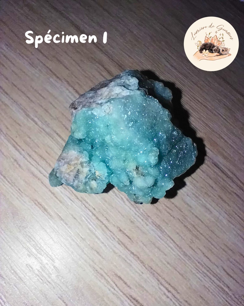May include: A specimen of a teal-colored mineral with a crystalline structure. The mineral is labeled "Sp&eacute;cimen 1" in white text. A circular logo with the text "Lumi&egrave;re de Gemmes" and a drawing of a hand holding crystals and flowers is in the upper right corner.