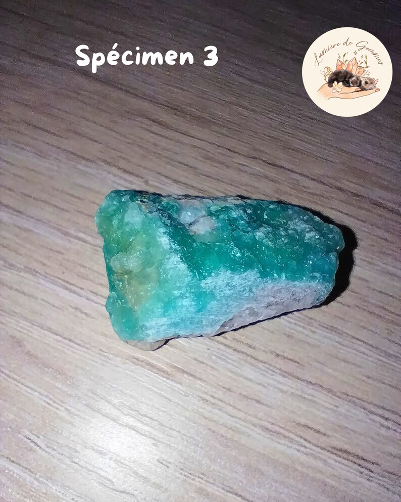 May include: A rough-cut, vibrant green mineral specimen. The stone has a crystalline structure with areas of lighter green and white. The text "Sp&eacute;cimen 3" is visible in the upper left corner. A circular logo with text and illustrations is in the upper right.