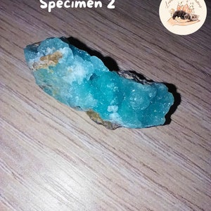 May include: A vibrant, turquoise mineral specimen, labeled "Sp&eacute;cimen 2," rests on a wooden surface. The crystalline structure of the mineral is prominent, showcasing a textured surface. The image includes a circular logo with floral and animal illustrations.