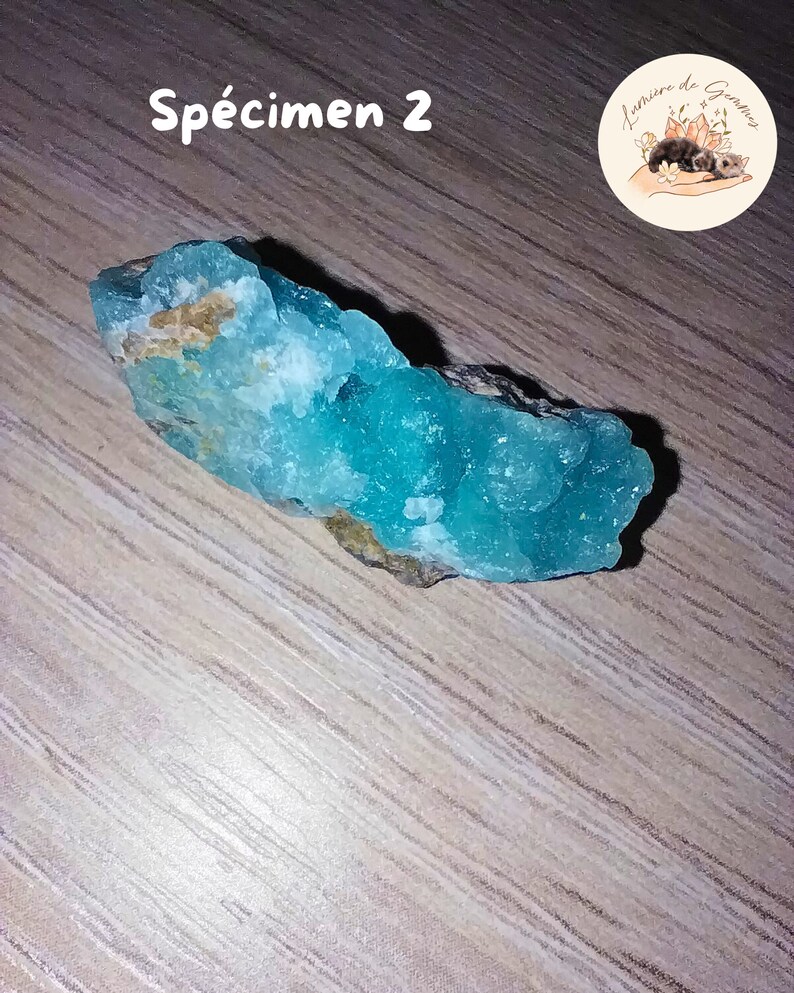 May include: A vibrant, turquoise mineral specimen, labeled "Sp&eacute;cimen 2," rests on a wooden surface. The crystalline structure of the mineral is prominent, showcasing a textured surface. The image includes a circular logo with floral and animal illustrations.