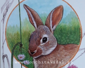 European rabbit. Original watercolor print