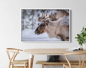 Canvas Gift, Wall Art Canvas, Canvas Print, Reindeer Canvas Print, Forest Landscape Wall Art, Animal Art Canvas, Deer Poster, Wall Decor