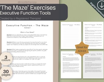 Executive Function 'The Maze' Exercises, ADHD Printable (Digital Download)