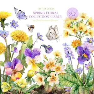 水彩画の春の花のクリップアート、パンジー、タンポポのクリップアート、水彩画の花、春の花のグラフィック、個々の要素、母の日