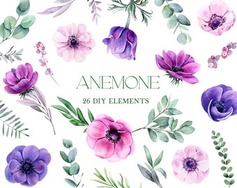 Watercolor anemone clipart,  flowers clipart, pink, purple floral png, wedding clip art, DIY elements, digital, commercial, hand-drawn