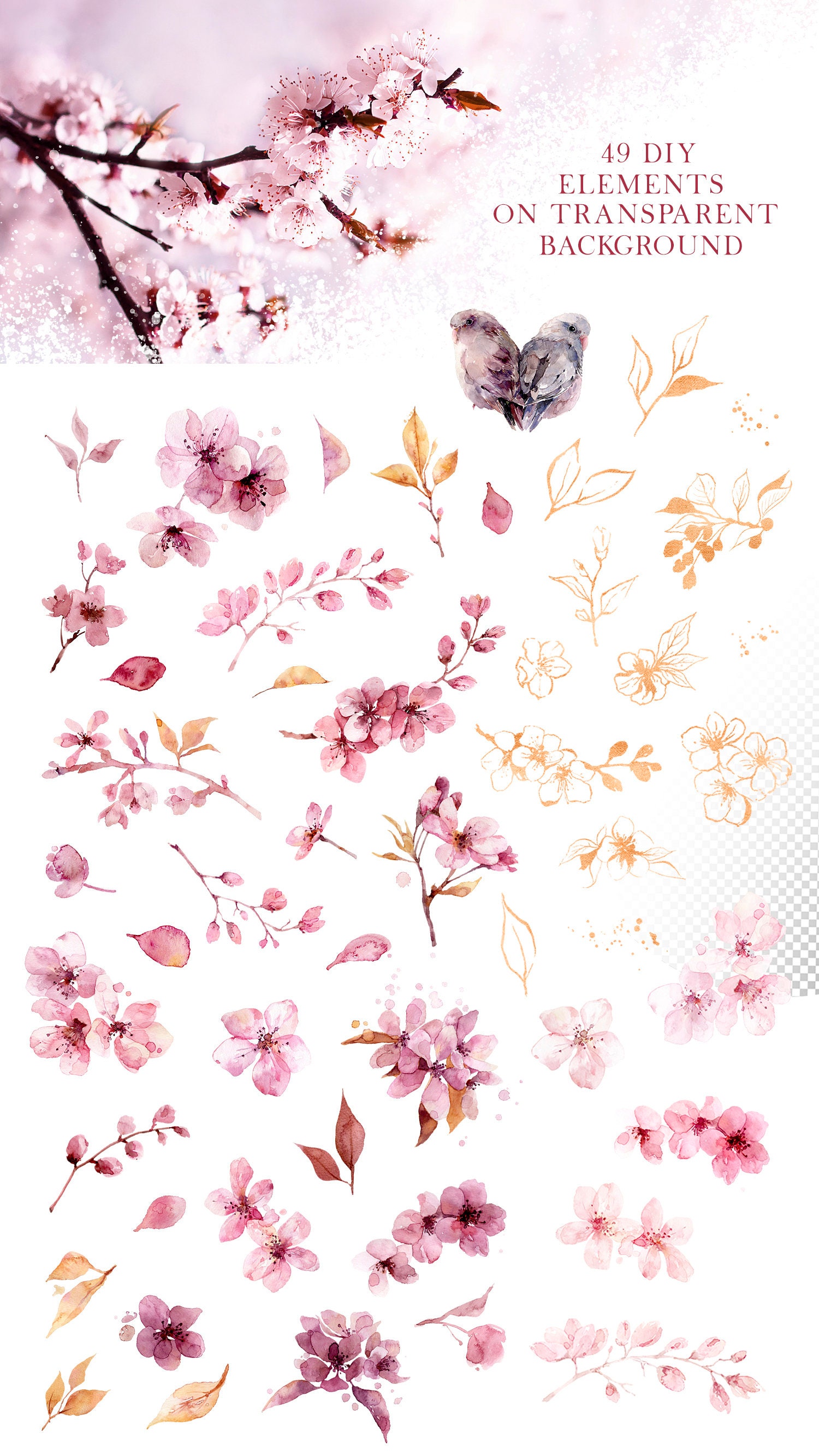 Cherry Blossom Watercolor Clipart Sakura Clipart Spring - Etsy