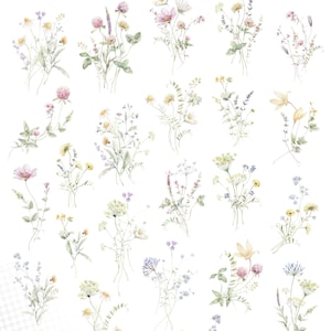 May include: 32 pre-made watercolor arrangements of wildflowers on a transparent background. The flowers are in shades of pink, yellow, blue, and green.