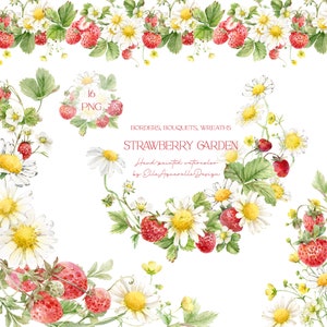 Morango aquarela, margarida branca, clipart, bordas florais de verão, morangos pintados à mão, png, cartão digital, criação de frutas para impressão