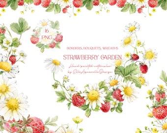 Aquarel aardbei margriet clipart zomer bloemen randen handgeschilderde aardbeien png digitale kaart afdrukbare bessen maken