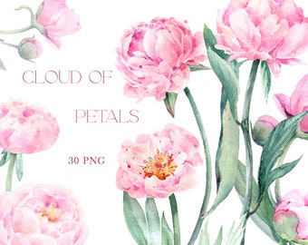 May include: A watercolor illustration of pink peonies with green leaves and stems. The image includes the text "CLOUD OF PETALS" and "30 PNG".