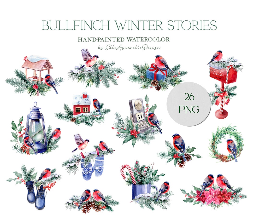 Watercolor Christmas Bird Clipart - Bullfinch PNG, Winter Birds Clip ...