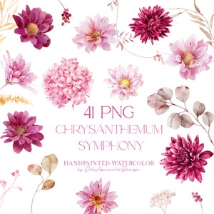 Flores em aquarela clipart, clipart floral rosa, crisântemo png, clipart de flor bordô, elementos DIY, uso comercial gratuito