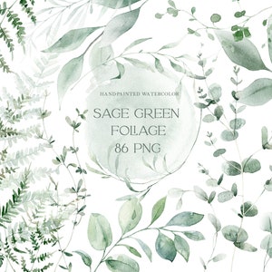Folhas verdes aquarela clipart sálvia verde eucalipto desenhado à mão elementos separados para fazer cartões imagens botânicas arquivos digitais
