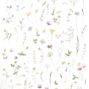 May include: A collection of 112 watercolor illustrations of various wildflowers, including blue forget-me-nots, yellow daisies, pink clover, and green leaves. The illustrations are on a transparent background.