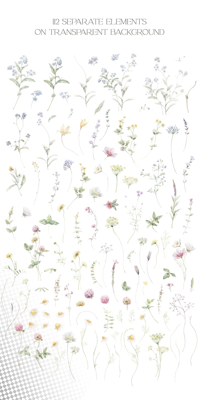 May include: A collection of 112 watercolor illustrations of various wildflowers, including blue forget-me-nots, yellow daisies, pink clover, and green leaves. The illustrations are on a transparent background.