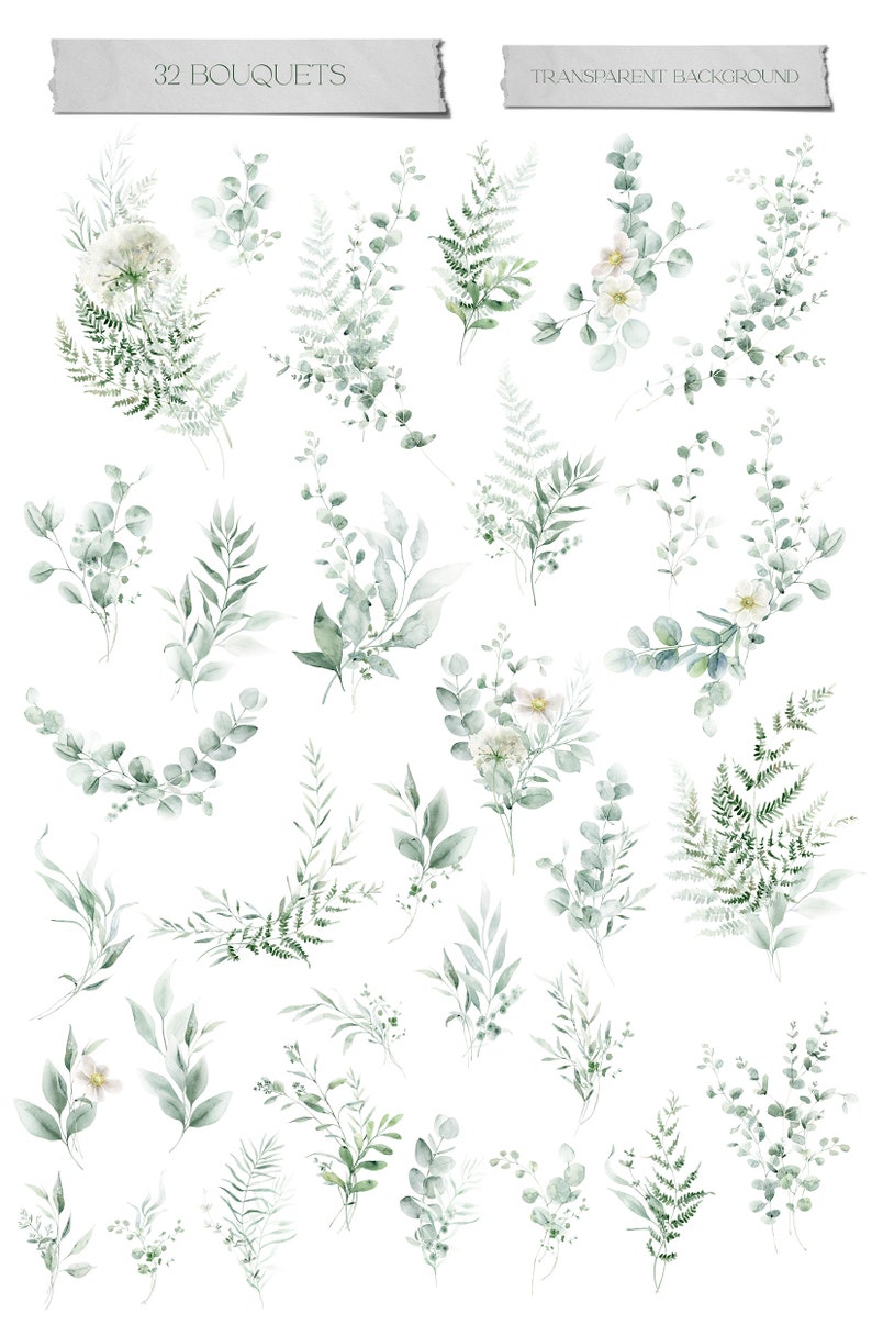 Greenery Watercolor Clipart, Eucalyptus Png, Greenery Clip Art, Sage ...