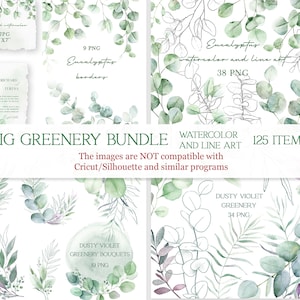 Pacchetto di clipart di verde, clipart di acquerello di bordo di eucalipto, png di eucalipto, verde botanico per matrimonio, cornici, ghirlanda di verde