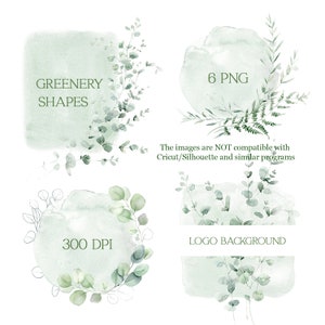 Clipart di verde acquerello, sfondo acquerello con logo verde png, eucalipto png, clip art verde salvia, uso commerciale gratuito