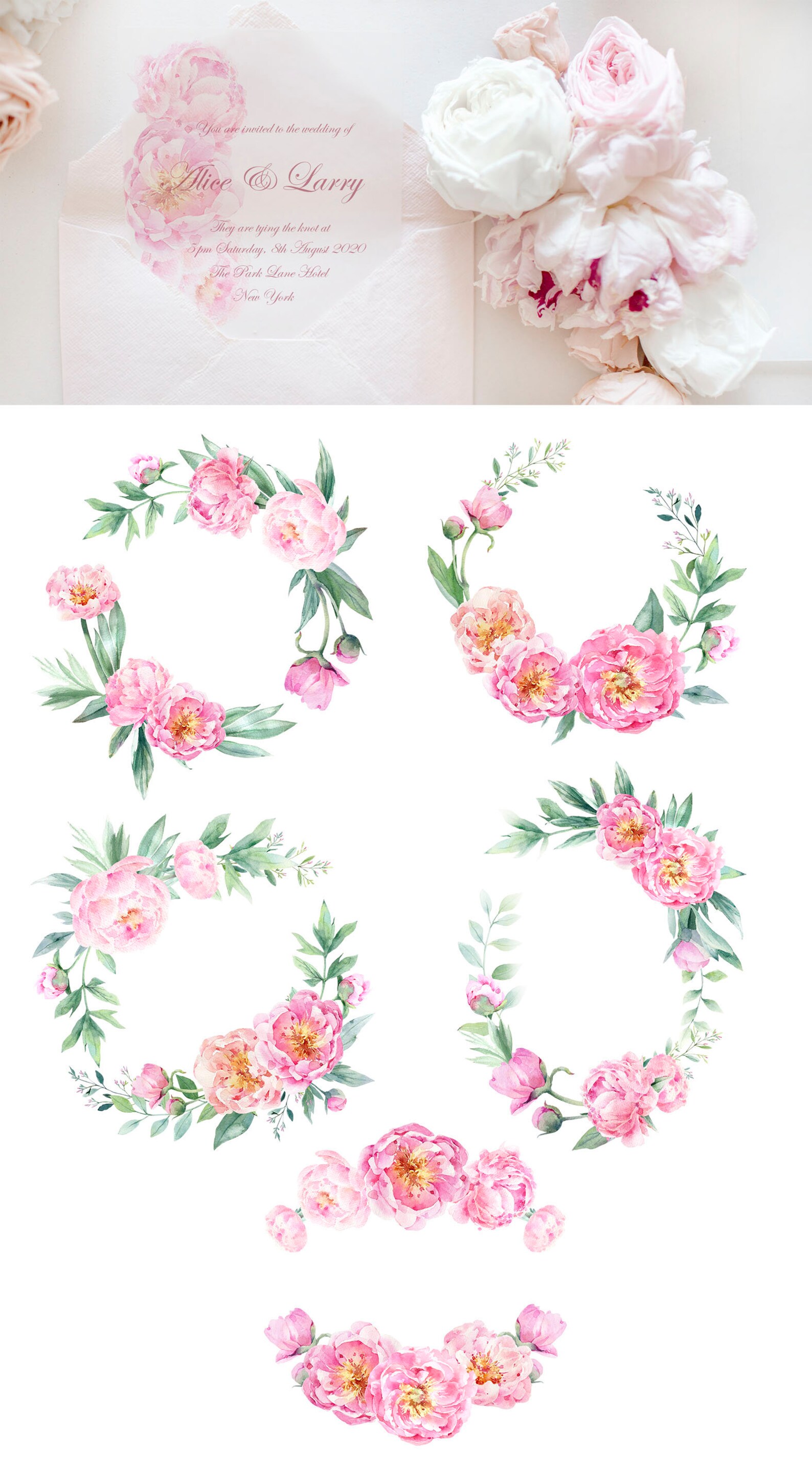 Watercolor Peony Clipart, Peonies Png, Blush Pink Flowers Clipart ...