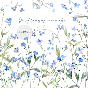Clipart aquarelle de ne m'oubliez pas, clipart fleurs bleues, oubliez-moi pas png, téléchargement numérique