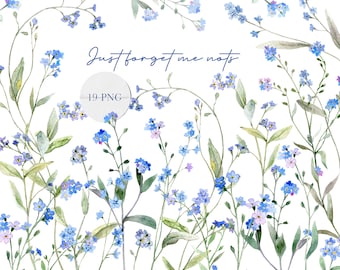 Forget me not watercolor clipart, blue flowers clip art, forget me not png, digital download