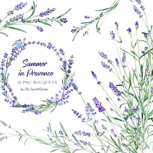 Imágenes prediseñadas de lavanda de acuarela, borde floral, imágenes prediseñadas de flores de acuarela, imágenes prediseñadas de flores púrpuras, lavanda png