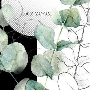 May include: Watercolor illustration of eucalyptus leaves in shades of green and gray. The leaves are arranged in a cluster, with some overlapping. The background is a white and black checkered pattern.