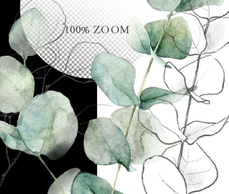 May include: Watercolor illustration of eucalyptus leaves in shades of green and gray. The leaves are arranged in a cluster, with some overlapping. The background is a white and black checkered pattern.
