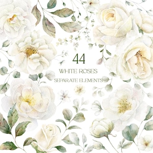 Clipart fleur blanche, clipart fleurs aquarelle, clipart floral aquarelle, éléments floraux blancs png, aquarelle de roses