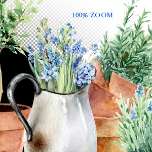 May include: A vintage metal pitcher filled with a bouquet of blue and green flowers. The pitcher has a worn, rustic look and is sitting on a table with other potted plants.