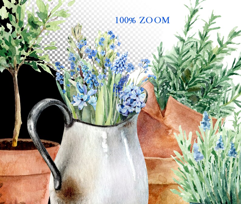 May include: A vintage metal pitcher filled with a bouquet of blue and green flowers. The pitcher has a worn, rustic look and is sitting on a table with other potted plants.