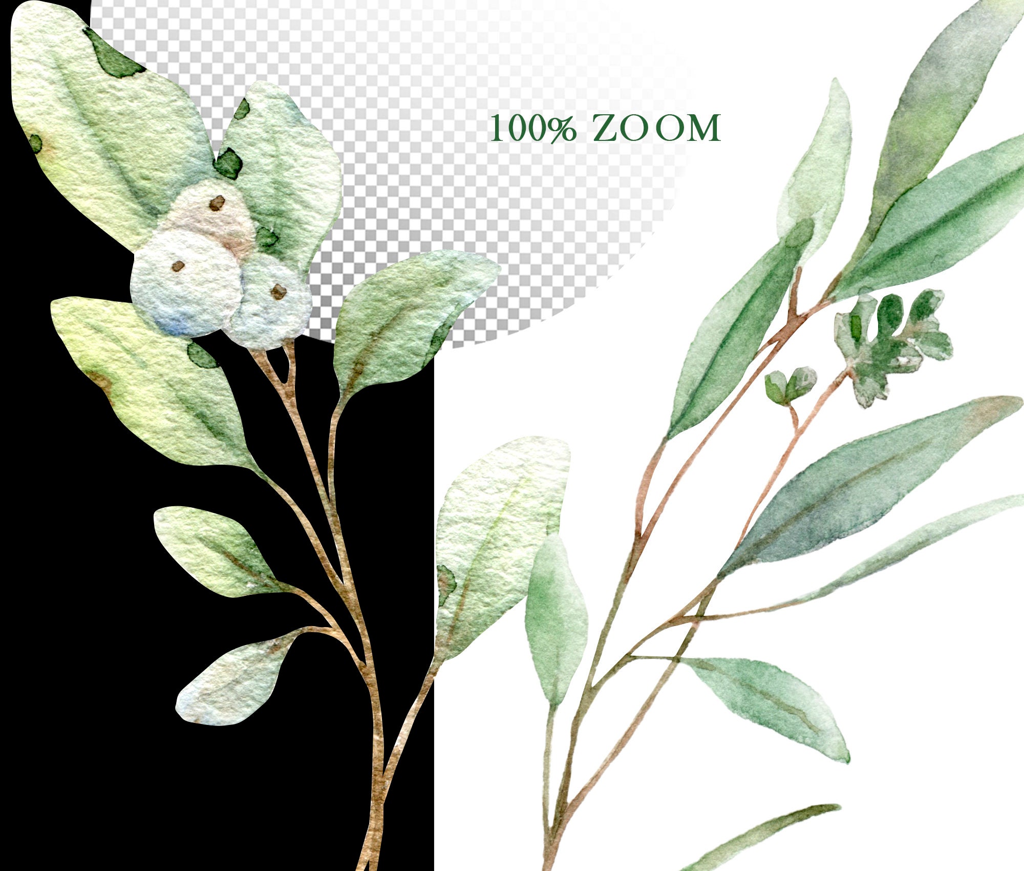 Watercolor Greenery Clipart, Eucalyptus Clip Art, Green Leaves ...