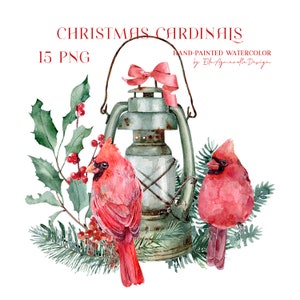 Weihnachten Kardinal Clipart, roter Kardinal png, Aquarell Kardinal, Aquarell Weihnachtscliparts, Kardinal Clip Art, Weihnachten png
