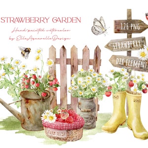 Clipart de morango aquarela, clipart de margarida, morangos aquarela png, jardim, clipart de verão, clipart de casa de fazenda rústica, elementos DIY