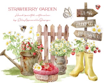 Watercolor strawberry clipart, daisy clipart, watercolor strawberries png, garden, summer clipart, rustic farmhouse clip art, DIY elements