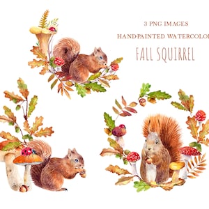 Clipart écureuil aquarelle, clipart animaux des bois, clipart automne aquarelle, png couronne d'automne, champignons, animaux mignons, feuilles d'automne