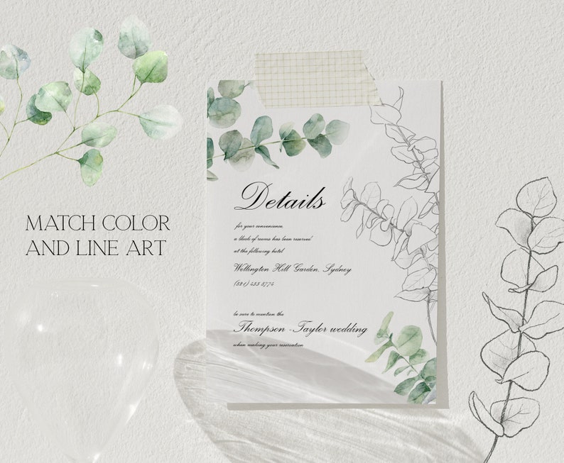 Winter greenery watercolor clipart, eucalyptus clipart png, digital download, commercial, line art