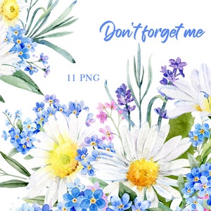 Clipart marguerite aquarelle, clipart floral aquarelle, clipart fleurs d'été, myosotis png, png marguerite blanche, clipart camomille