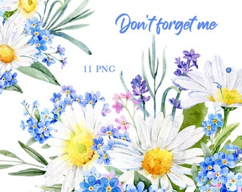 Watercolor daisy clipart, watercolor floral clipart, summer flowers clipart, forget me not png, white daisy png, chamomile clipart