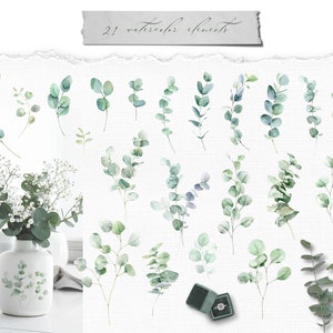 Watercolor eucalyptus clipart, watercolour greenery elements png, baby shower, eucalyptus line art, botanical wedding, bridal, green leaves