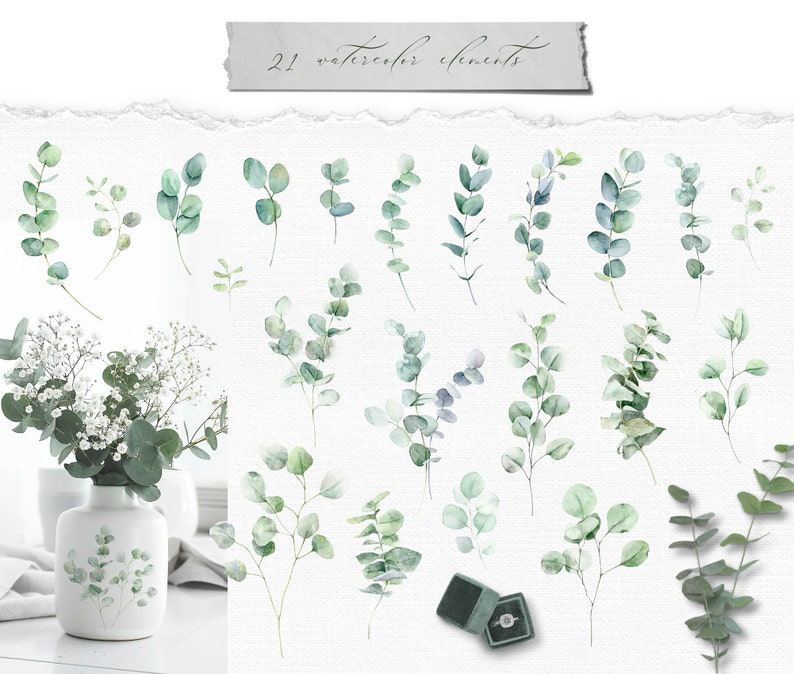 Watercolor eucalyptus clipart, watercolour greenery elements png, baby shower, eucalyptus line art, botanical wedding, bridal, green leaves