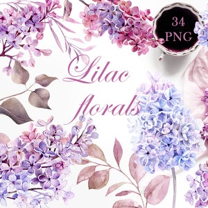 Imágenes prediseñadas de flores lilas de acuarela dibujadas a mano, elementos florales violetas DIY, imágenes prediseñadas de acuarela de primavera para hacer tarjetas