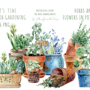 Imágenes prediseñadas de jardinería en acuarela, plantas de acuarela, imágenes prediseñadas de hierbas, imágenes prediseñadas de casa de campo rústica, plantas en macetas y hierbas png