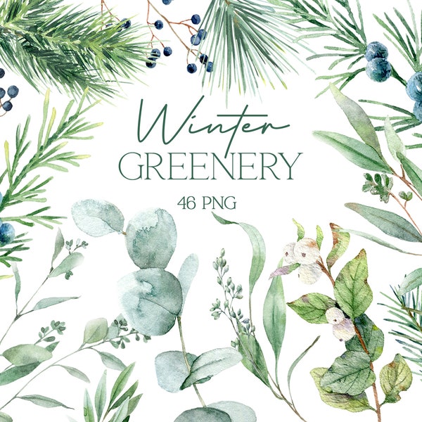 Watercolor greenery clipart, eucalyptus clip art, green leaves, eucalyptus png, botanical wedding invitation winter foliage digital greenery