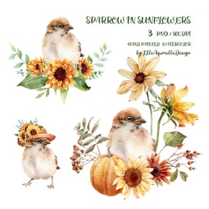 Bird clip art, watercolor sparrow, sparrow clipart, watercolour bird clipart, bird and flower clipart, digital sublimation