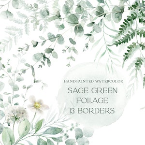 Clipart acquerello verde, bordo verde, eucalipto acquerello, png verde, felce, clipart matrimonio botanico, foglie verde salvia png