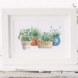 May include: A watercolor painting of four potted herbs. The pots are all different colors and styles. The herbs are labeled with small wooden signs. The painting is framed in a white frame.