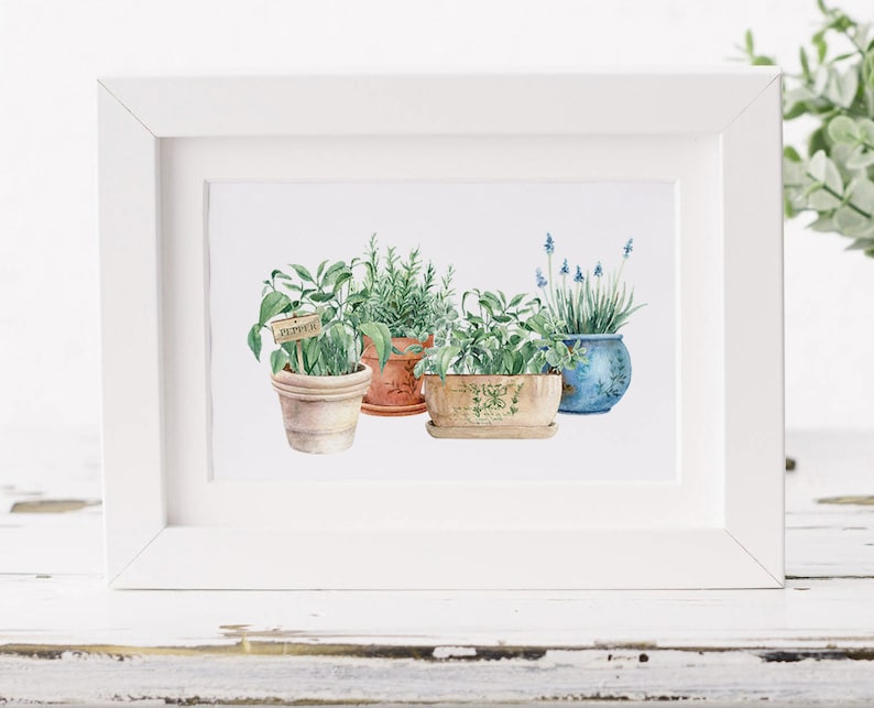 May include: A watercolor painting of four potted herbs. The pots are all different colors and styles. The herbs are labeled with small wooden signs. The painting is framed in a white frame.